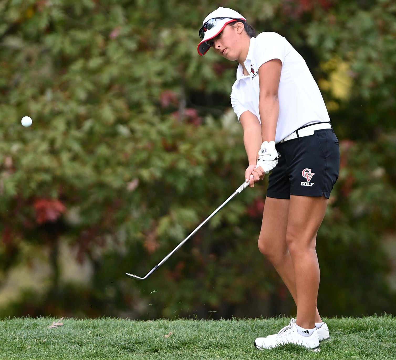 State Golf Championships 3A 11